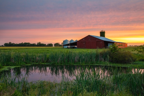 Photograph at sunset of a red barn seen from across a green field with a small pond in the foreground