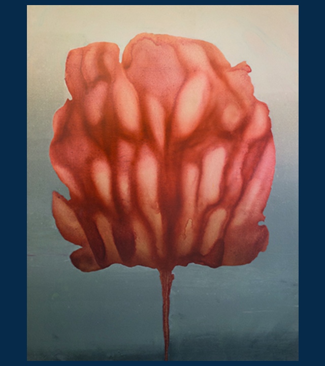 Stylized painting of single flower bloom, shakes of coral and cream